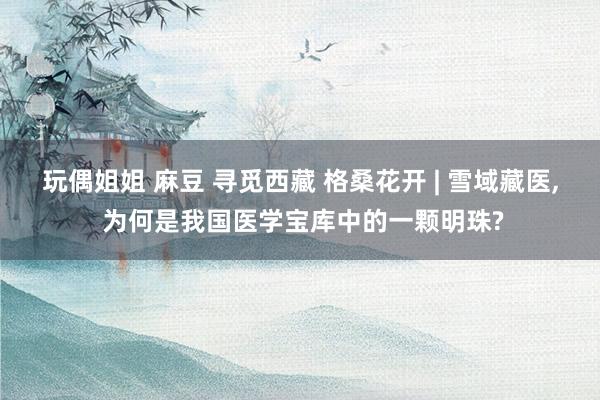 玩偶姐姐 麻豆 寻觅西藏 格桑花开 | 雪域藏医, 为何是我国医学宝库中的一颗明珠?