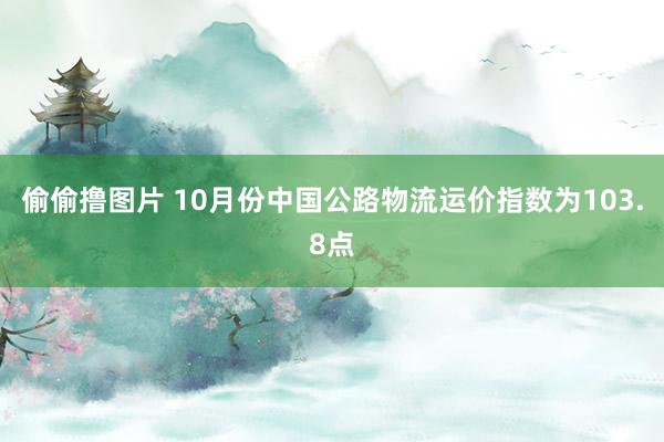 偷偷撸图片 10月份中国公路物流运价指数为103.8点