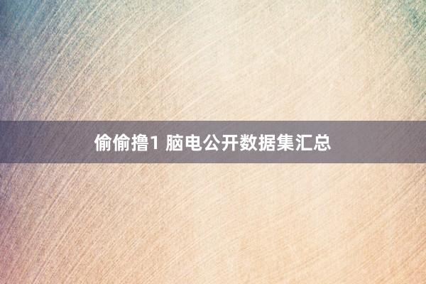 偷偷撸1 脑电公开数据集汇总