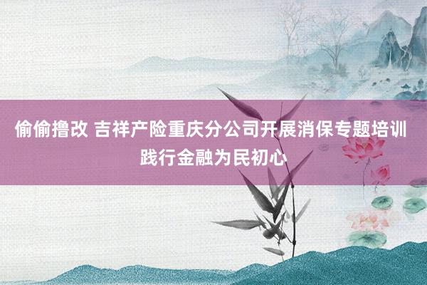 偷偷撸改 吉祥产险重庆分公司开展消保专题培训 践行金融为民初心