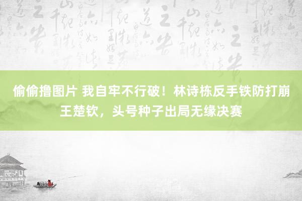 偷偷撸图片 我自牢不行破！林诗栋反手铁防打崩王楚钦，头号种子出局无缘决赛