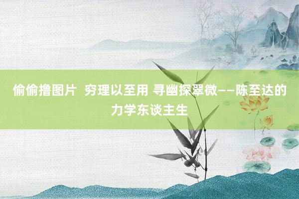 偷偷撸图片  穷理以至用 寻幽探翠微——陈至达的力学东谈主生