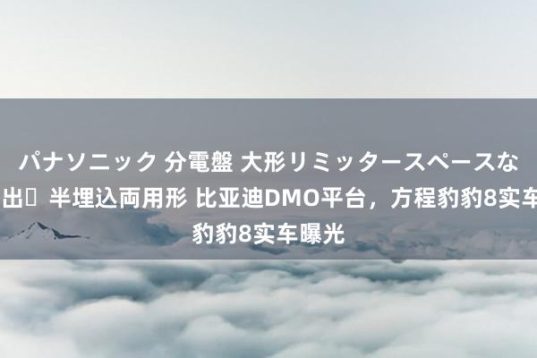 パナソニック 分電盤 大形リミッタースペースなし 露出・半埋込両用形 比亚迪DMO平台，方程豹豹8实车曝光