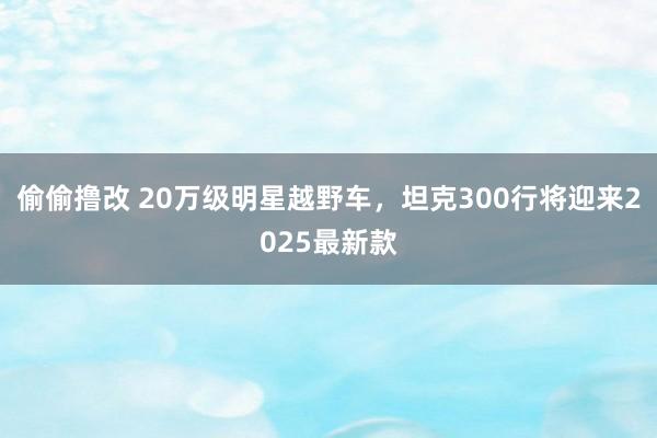 偷偷撸改 20万级明星越野车，坦克300行将迎来2025最新款