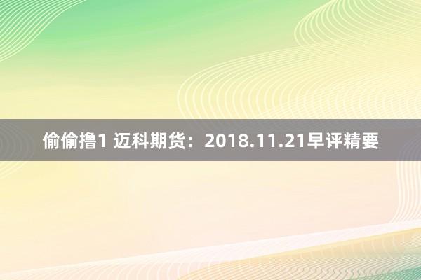 偷偷撸1 迈科期货：2018.11.21早评精要