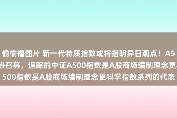 偷偷撸图片 新一代特质指数或将指明异日观点！A500ETF(159339)火热召募，追踪的中证A500指数是A股商场编制理念更科学指数系列的代表