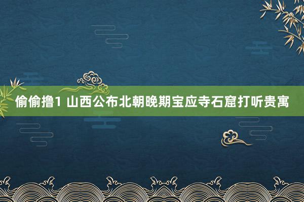 偷偷撸1 山西公布北朝晚期宝应寺石窟打听贵寓