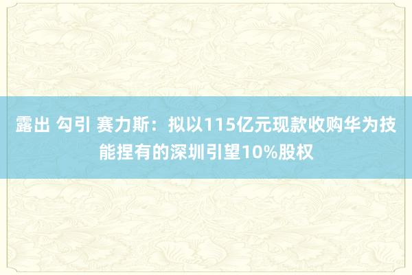 露出 勾引 赛力斯：拟以115亿元现款收购华为技能捏有的深圳引望10%股权