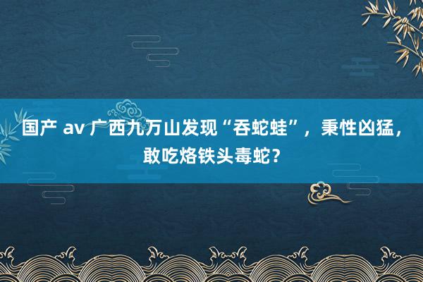 国产 av 广西九万山发现“吞蛇蛙”，秉性凶猛，敢吃烙铁头毒蛇？