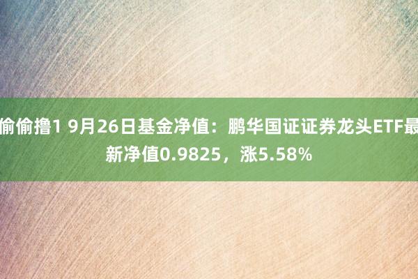 偷偷撸1 9月26日基金净值：鹏华国证证券龙头ETF最新净值0.9825，涨5.58%