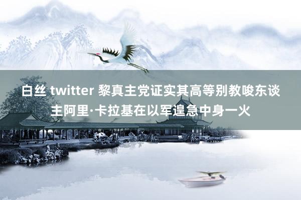 白丝 twitter 黎真主党证实其高等别教唆东谈主阿里·卡拉基在以军遑急中身一火