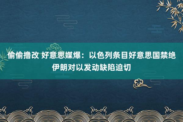 偷偷撸改 好意思媒爆：以色列条目好意思国禁绝伊朗对以发动缺陷迫切