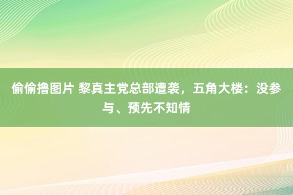 偷偷撸图片 黎真主党总部遭袭，五角大楼：没参与、预先不知情