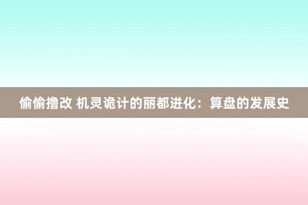 偷偷撸改 机灵诡计的丽都进化：算盘的发展史