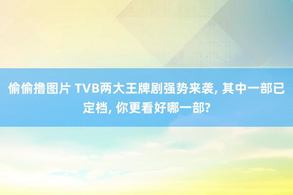 偷偷撸图片 TVB两大王牌剧强势来袭, 其中一部已定档, 你更看好哪一部?