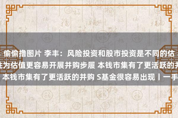 偷偷撸图片 李丰：风险投资和股市投资是不同的估值逻辑 科创板以成长性为估值更容易开展并购步履 本钱市集有了更活跃的并购 S基金很容易出现丨一手