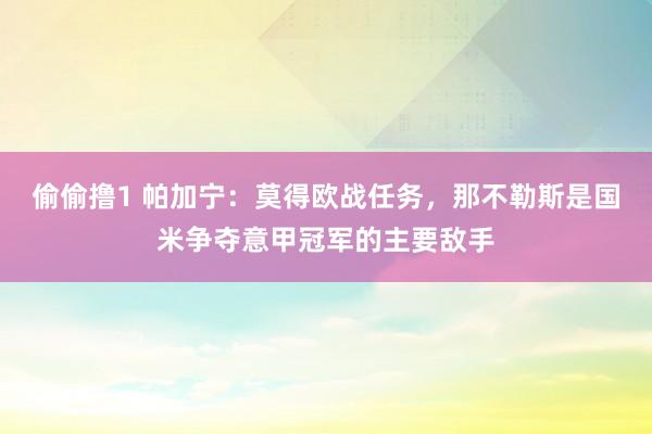 偷偷撸1 帕加宁：莫得欧战任务，那不勒斯是国米争夺意甲冠军的主要敌手