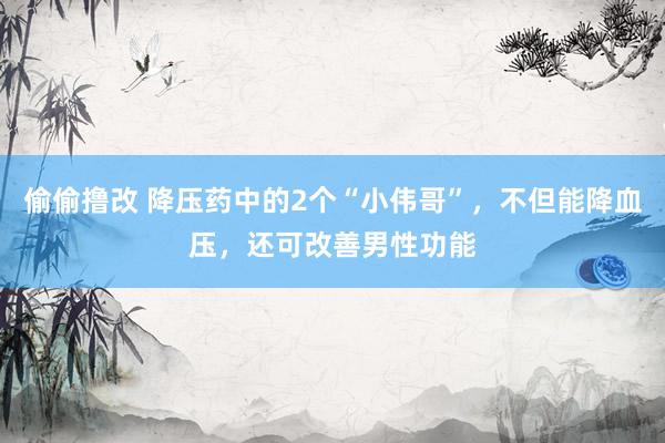 偷偷撸改 降压药中的2个“小伟哥”，不但能降血压，还可改善男性功能