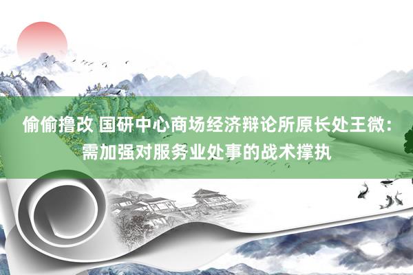 偷偷撸改 国研中心商场经济辩论所原长处王微：需加强对服务业处事的战术撑执