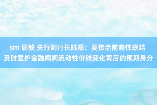 sm 调教 央行副行长陆磊：要接洽前瞻性联结 及时爱护金融阛阓流动性价钱变化背后的预期身分