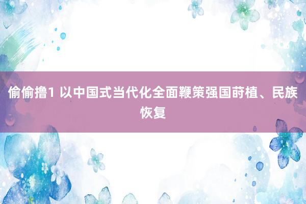 偷偷撸1 以中国式当代化全面鞭策强国莳植、民族恢复