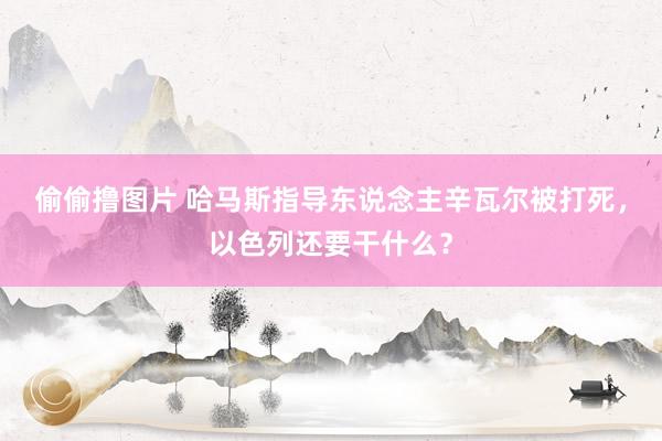 偷偷撸图片 哈马斯指导东说念主辛瓦尔被打死，以色列还要干什么？