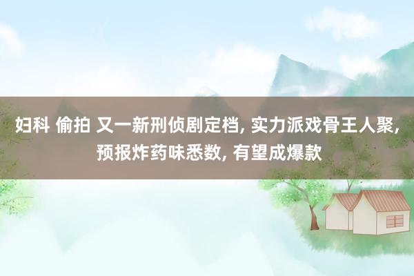 妇科 偷拍 又一新刑侦剧定档, 实力派戏骨王人聚, 预报炸药味悉数, 有望成爆款