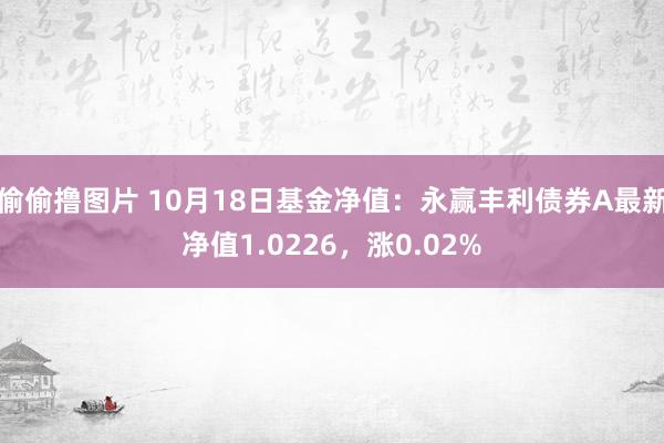 偷偷撸图片 10月18日基金净值：永赢丰利债券A最新净值1.0226，涨0.02%