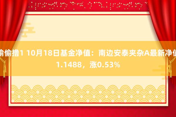 偷偷撸1 10月18日基金净值：南边安泰夹杂A最新净值1.1488，涨0.53%