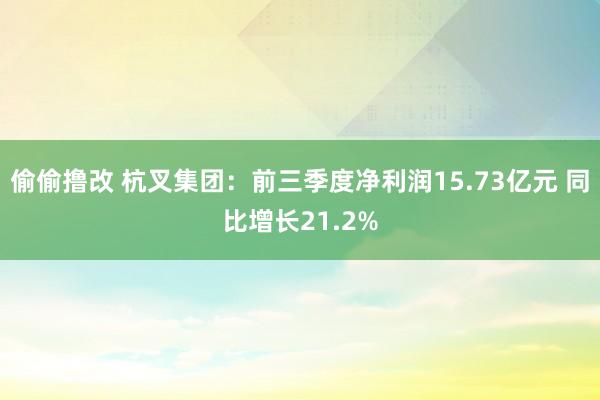 偷偷撸改 杭叉集团：前三季度净利润15.73亿元 同比增长21.2%