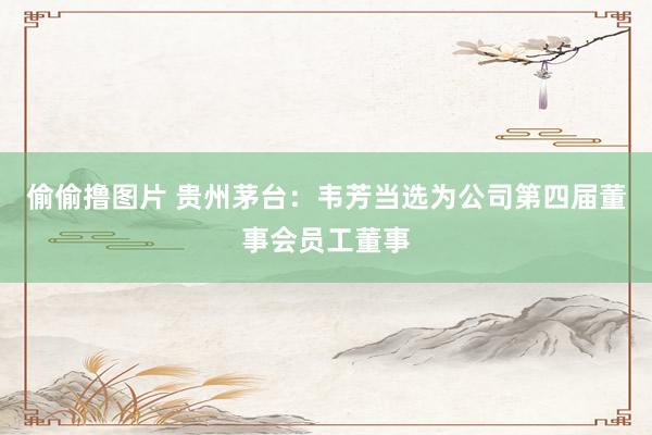 偷偷撸图片 贵州茅台：韦芳当选为公司第四届董事会员工董事