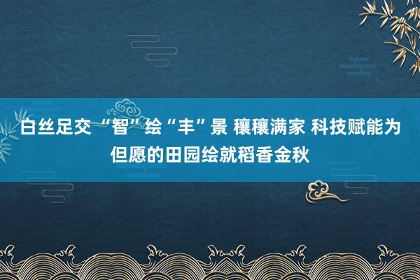 白丝足交 “智”绘“丰”景 穰穰满家 科技赋能为但愿的田园绘就稻香金秋