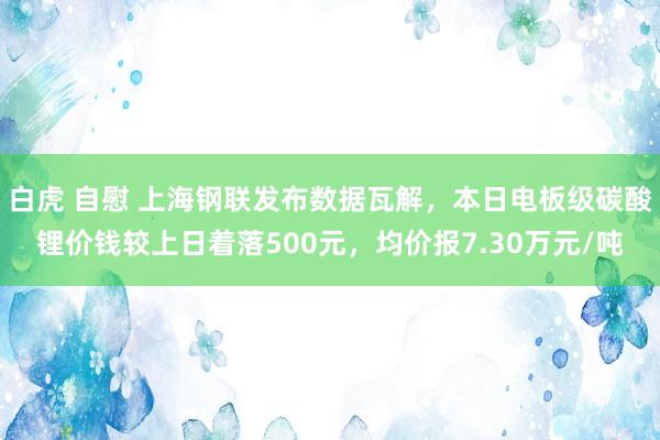 白虎 自慰 上海钢联发布数据瓦解，本日电板级碳酸锂价钱较上日着落500元，均价报7.30万元/吨