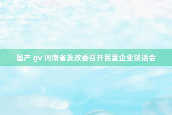 国产 gv 河南省发改委召开民营企业谈话会