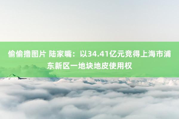 偷偷撸图片 陆家嘴：以34.41亿元竞得上海市浦东新区一地块地皮使用权