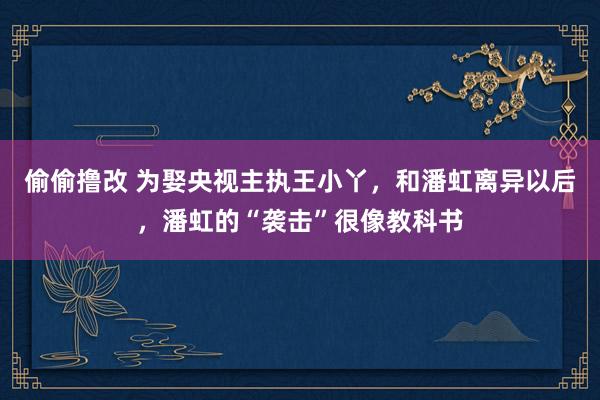 偷偷撸改 为娶央视主执王小丫，和潘虹离异以后，潘虹的“袭击”很像教科书