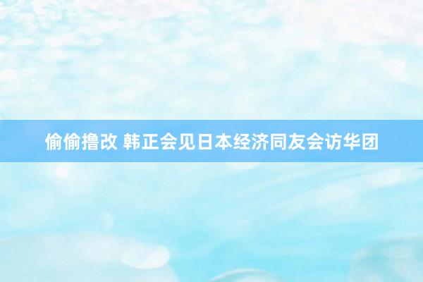 偷偷撸改 韩正会见日本经济同友会访华团