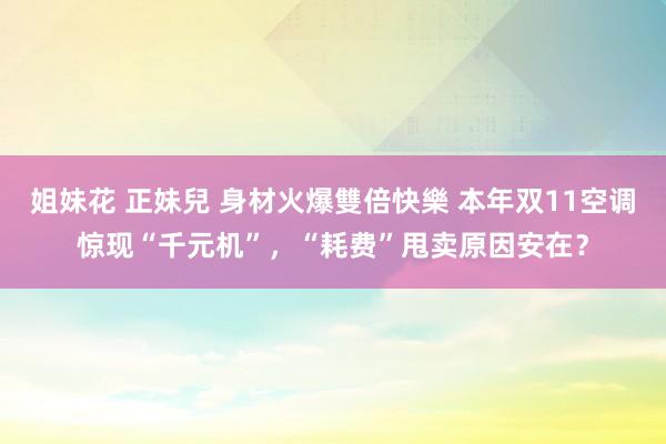 姐妹花 正妹兒 身材火爆雙倍快樂 本年双11空调惊现“千元机”，“耗费”甩卖原因安在？