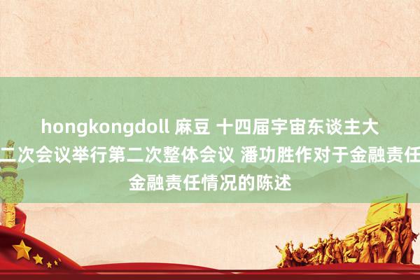 hongkongdoll 麻豆 十四届宇宙东谈主大常委会第十二次会议举行第二次整体会议 潘功胜作对于金融责任情况的陈述