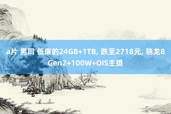 a片 男同 低廉的24GB+1TB, 跌至2718元, 骁龙8Gen2+100W+OIS主摄