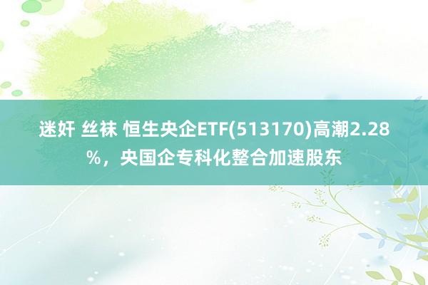 迷奸 丝袜 恒生央企ETF(513170)高潮2.28%，央国企专科化整合加速股东