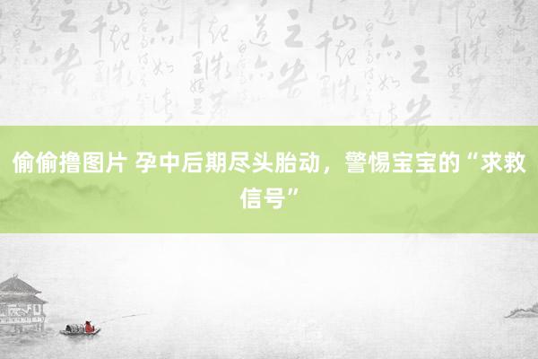 偷偷撸图片 孕中后期尽头胎动，警惕宝宝的“求救信号”