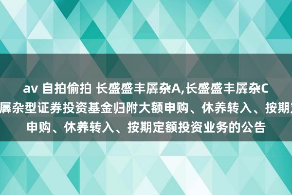 av 自拍偷拍 长盛盛丰羼杂A,长盛盛丰羼杂C: 长盛盛丰机动成就羼杂型证券投资基金归附大额申购、休养转入、按期定额投资业务的公告