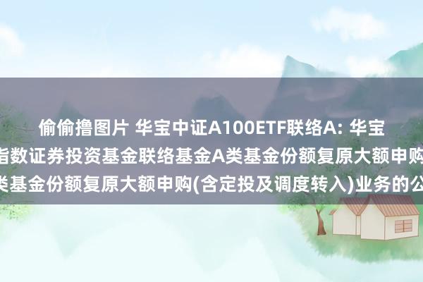 偷偷撸图片 华宝中证A100ETF联络A: 华宝中证A100交游型绽放式指数证券投资基金联络基金A类基金份额复原大额申购(含定投及调度转入)业务的公告