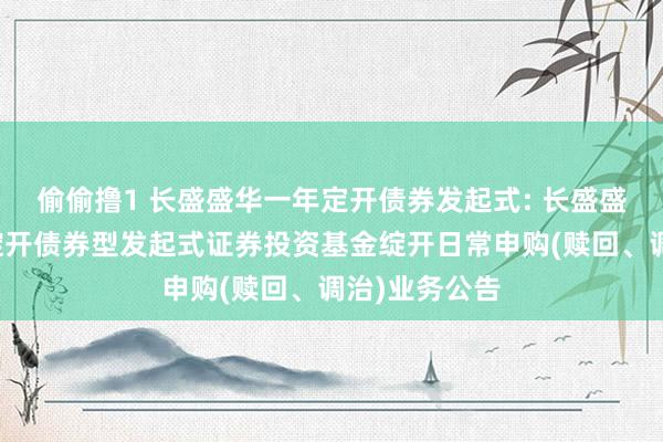 偷偷撸1 长盛盛华一年定开债券发起式: 长盛盛华一年按时绽开债券型发起式证券投资基金绽开日常申购(赎回、调治)业务公告