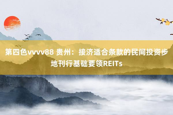 第四色vvvv88 贵州：接济适合条款的民间投资步地刊行基础要领REITs