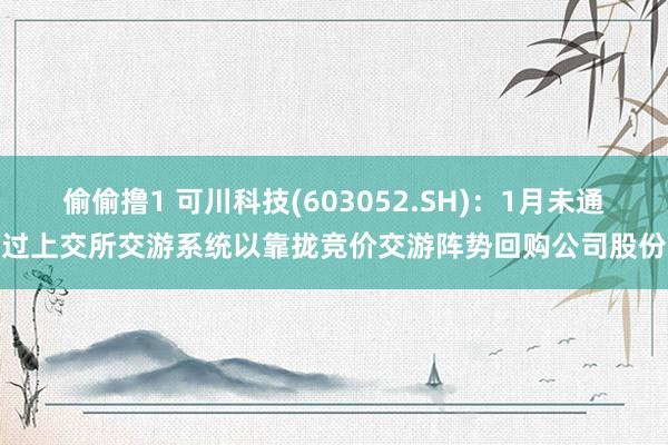 偷偷撸1 可川科技(603052.SH)：1月未通过上交所交游系统以靠拢竞价交游阵势回购公司股份