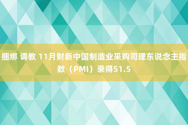 捆绑 调教 11月财新中国制造业采购司理东说念主指数（PMI）录得51.5