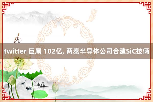 twitter 巨屌 102亿, 两泰半导体公司合建SiC技俩