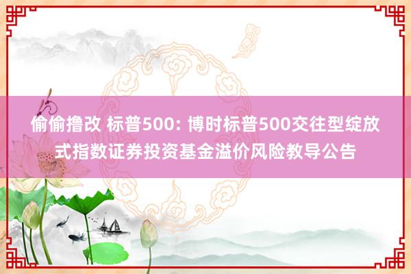 偷偷撸改 标普500: 博时标普500交往型绽放式指数证券投资基金溢价风险教导公告